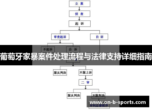葡萄牙家暴案件处理流程与法律支持详细指南