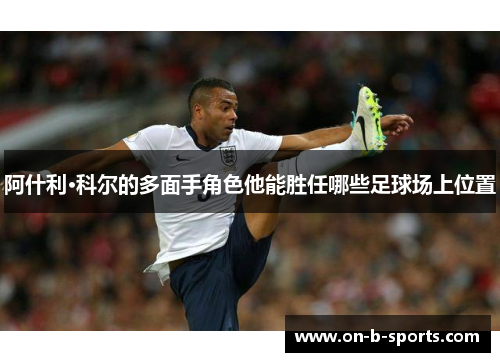 阿什利·科尔的多面手角色他能胜任哪些足球场上位置
