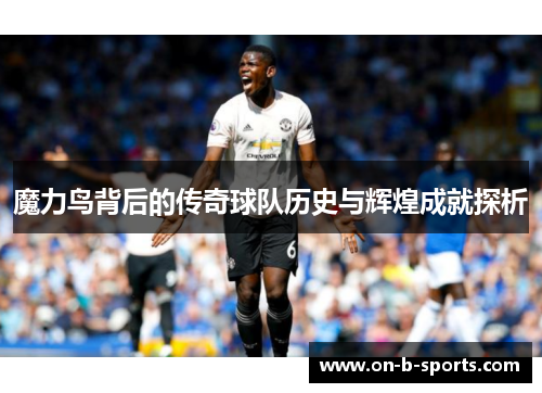 魔力鸟背后的传奇球队历史与辉煌成就探析